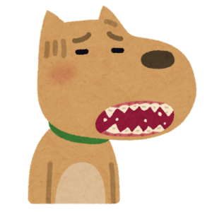犬の歯の写真
